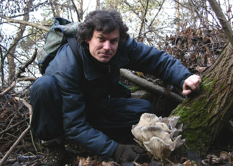 A caccia di Pleurotus ostreatus.....chiamati i  geloni...